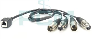 ¿Qué es 4-Channel Audio Snake?
