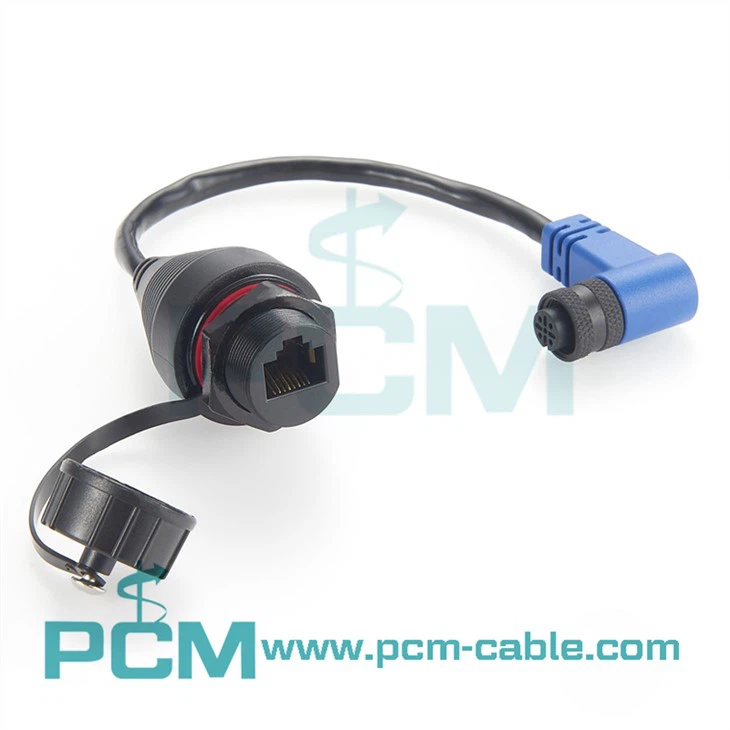 Cable Adaptador Raymarine Ray Net A NMEA RJ45